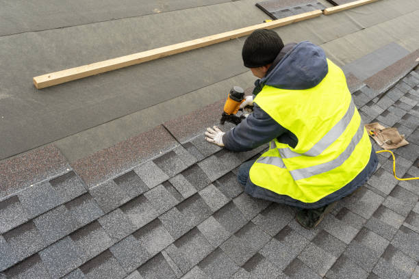 Roof Gutter Cleaning in Green Forest, AR