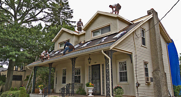 Best Roof Gutter Cleaning  in Green Forest, AR